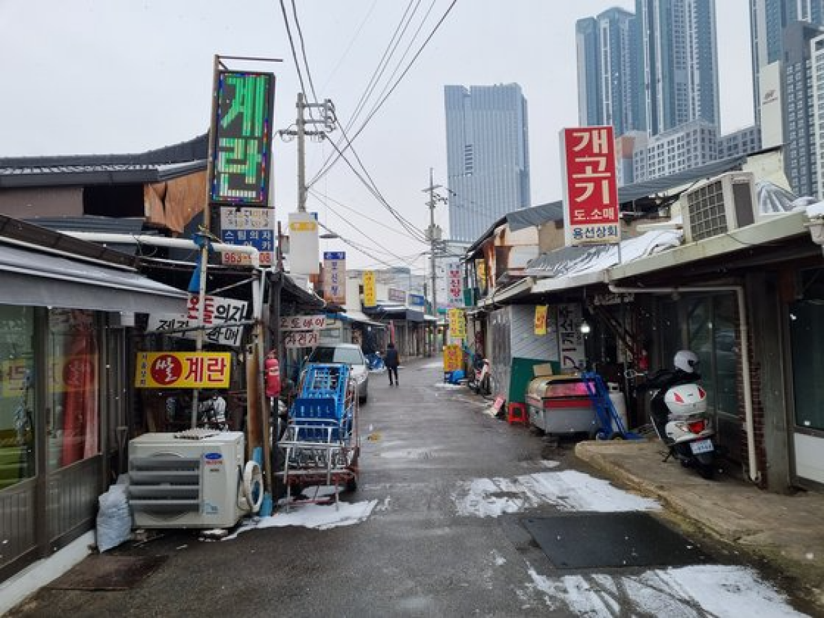9일 서울 동대문구 인근 골목에 보신탕집들이 영업 중이지만 찾는 손님은 드물었다. 박종서 기자
