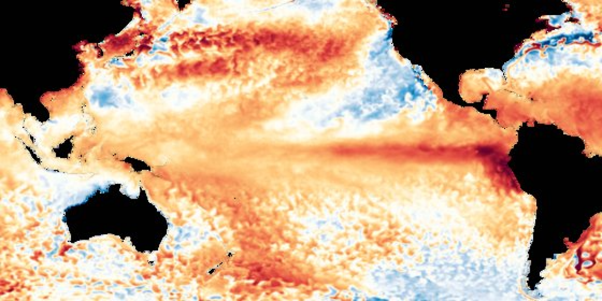 엘니뇨가 발생하면서 적도 태평양 부근의 온도가 상승했다. 붉은색이 진할수록 해수면 온도가 평년보다 높다는 뜻이다. NOAA