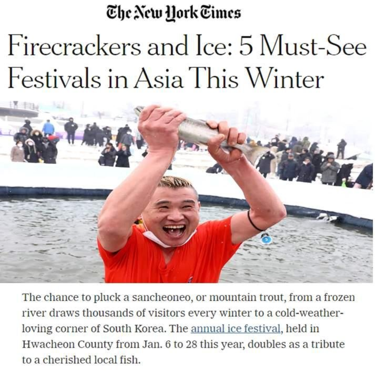 뉴욕타임스에 소개된 화천산천어축제 맨손 잡기 체험. 사진 화천군