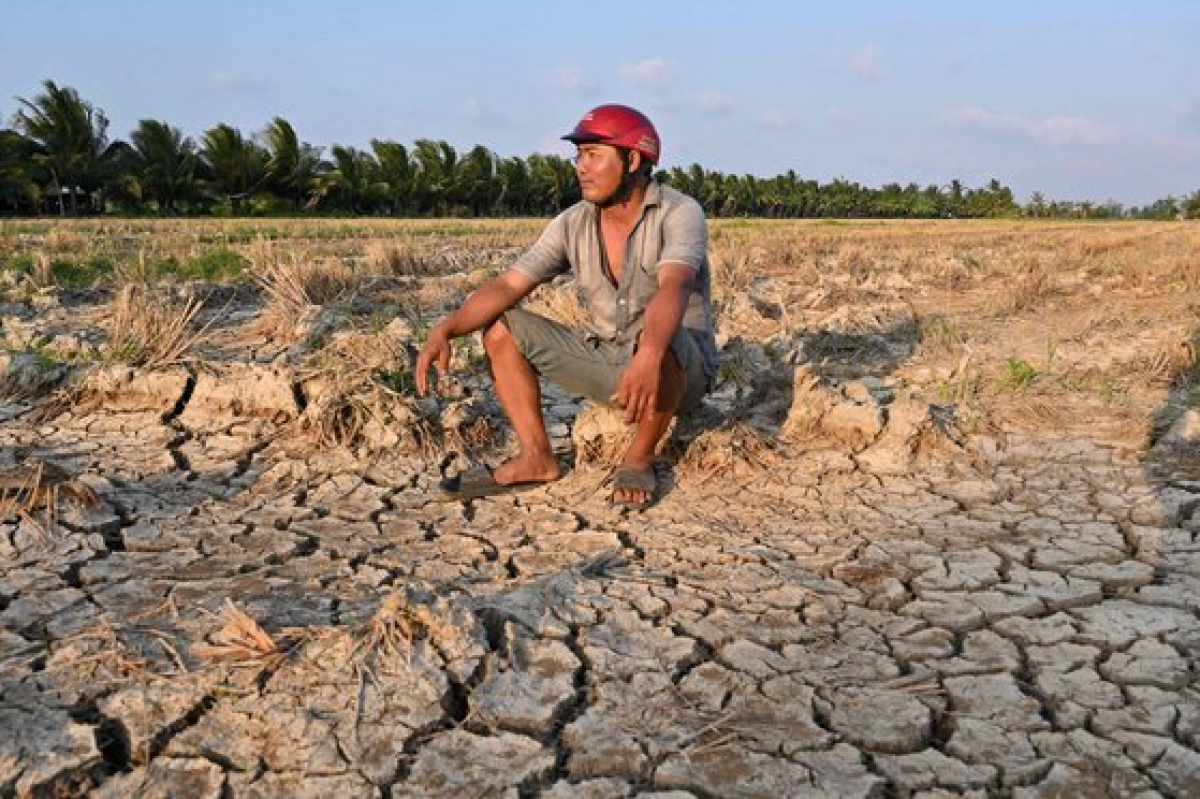 베트남 남부 지역에서 가뭄으로 말라버린 논에 앉아있는 한 농부. AFP=연합뉴스