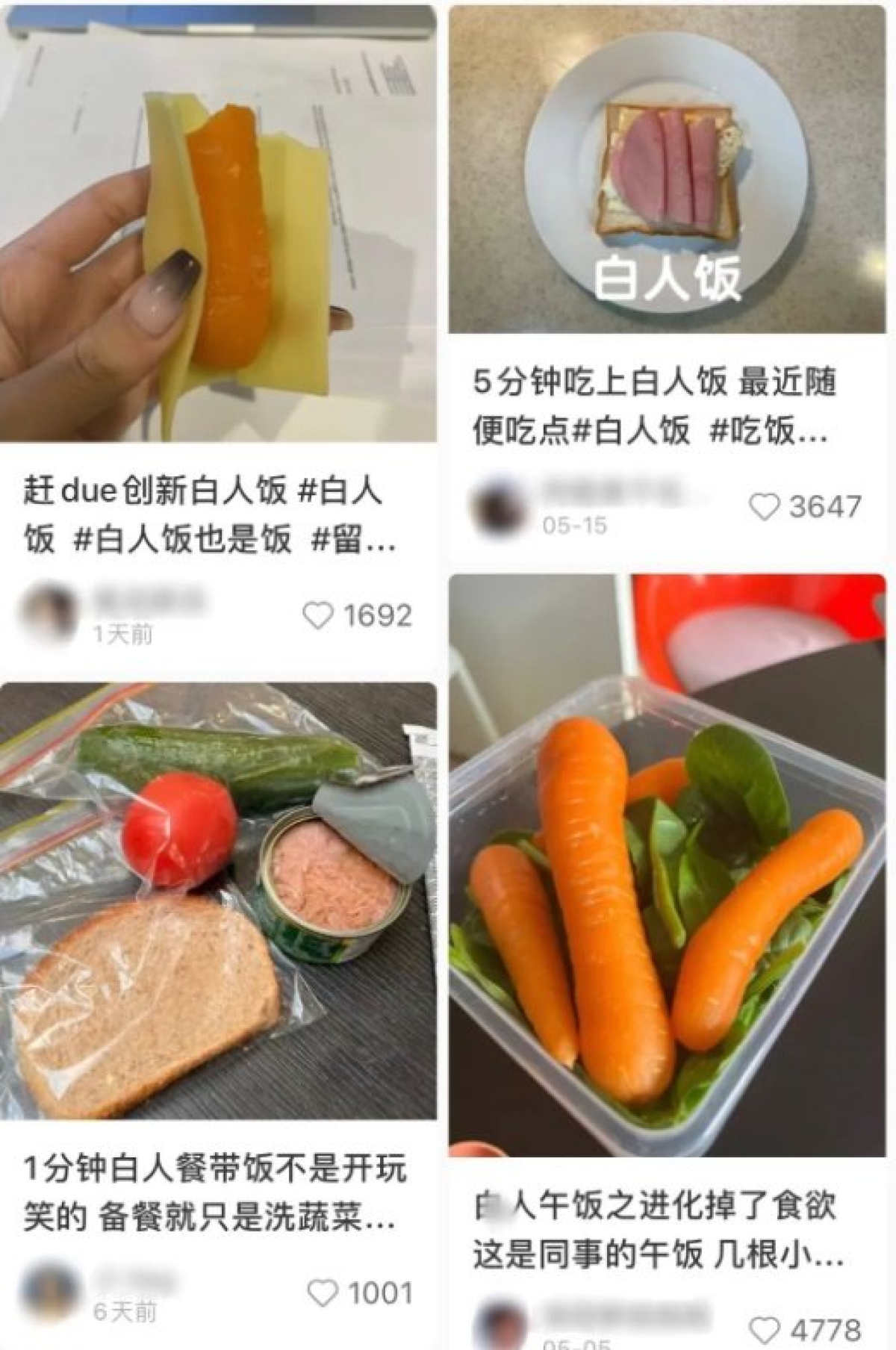 최근 중국 청년들 사이에서 열풍인 바이런판(백인의 식사). 한 두 개 재료로 만든 샌드위치 등 간편한 음식을 먹는 것으로 최악의 취업난을 겪는 중국 청년들 사이에서 인기다. 트위터 캡처