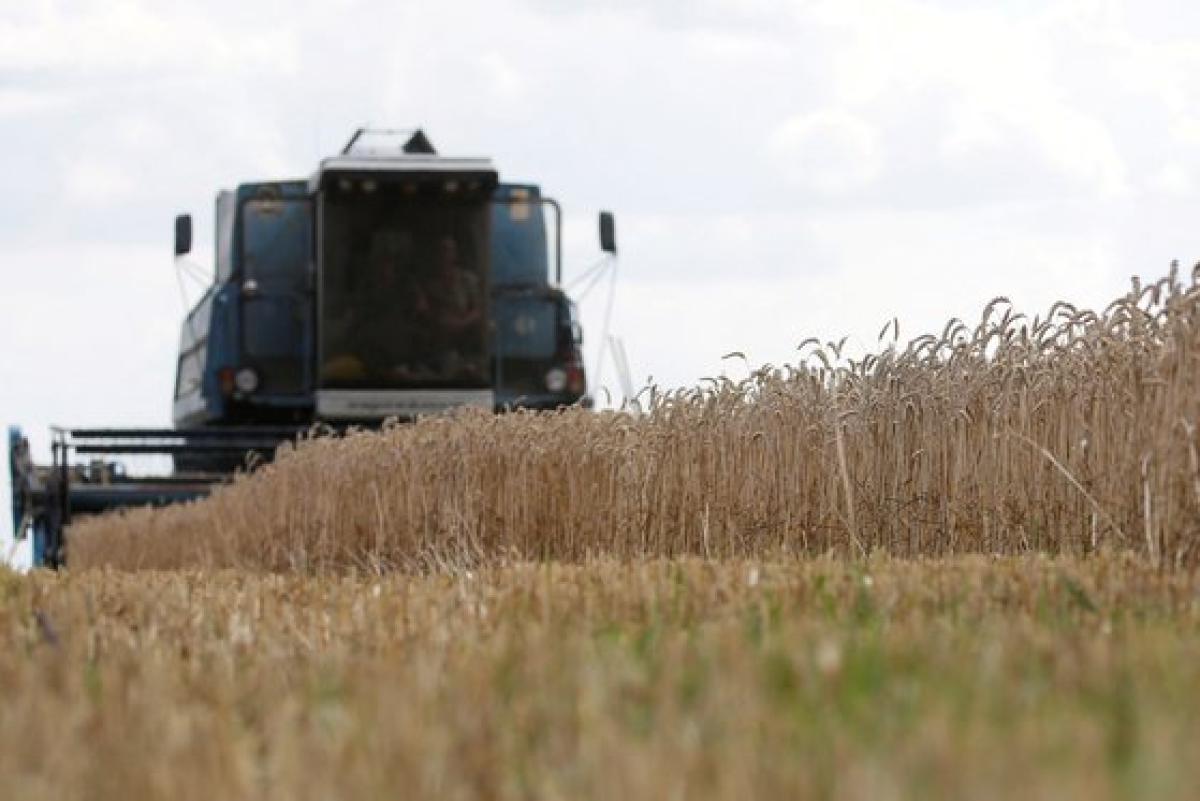 우크라이나 수도 키예프 인근의 밀밭에서 콤바인이 밀을 수확하고 있다. [로이터=연합뉴스]