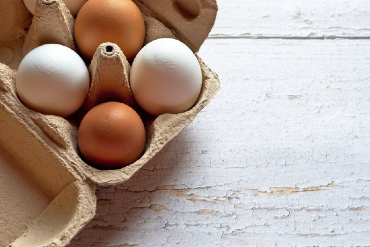 몸속 비타민D를 보충해주는 음식으로는 달걀과 우유, 버섯 등이 있다. 사진 pixabay.