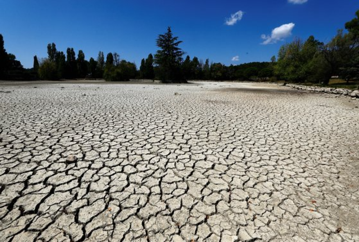 지난 16일 프랑스 남부 도시 투투의 한 연못이 가뭄으로 물이 사라진 채 갈라진 땅만 모습을 드러내고 있다. 로이터=연합뉴스
