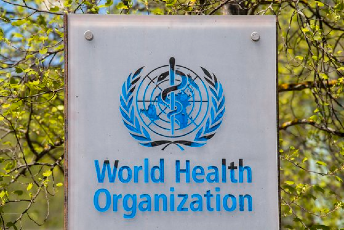 World Health Organization(WHO). AP=연합뉴스