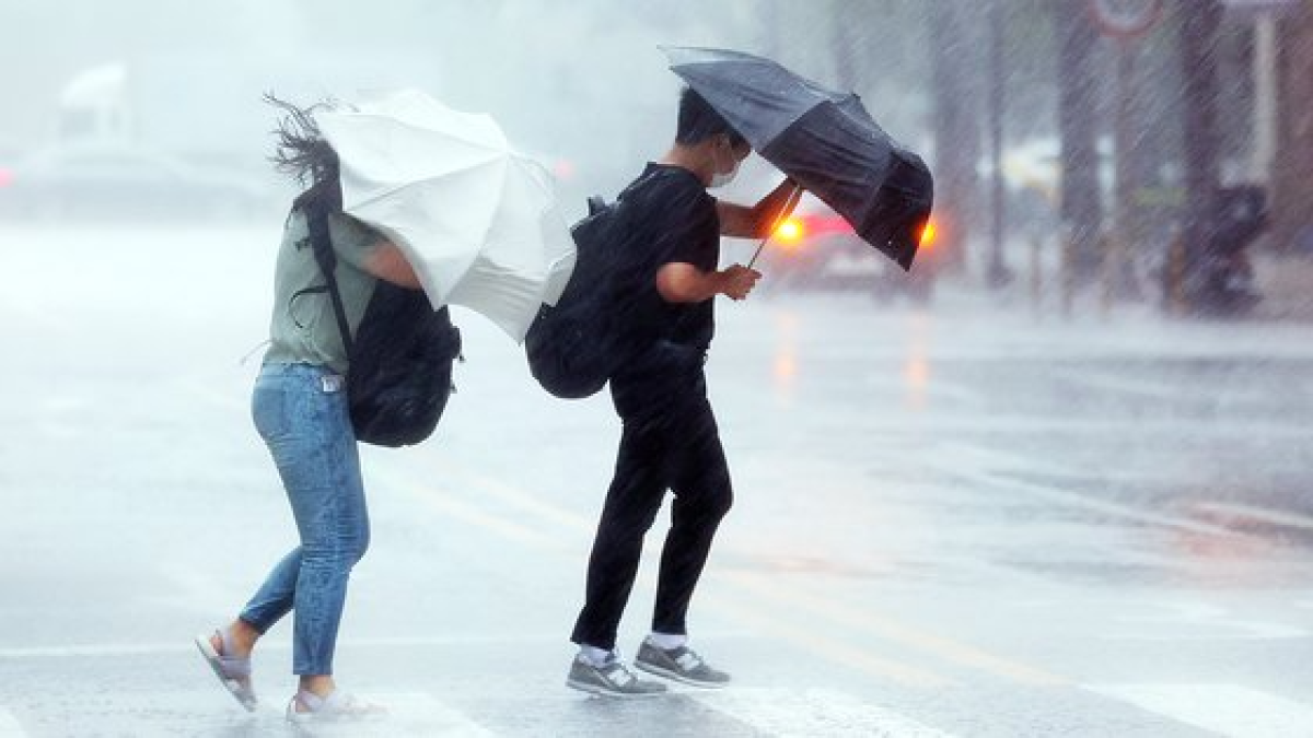 8일 오후 서울 영등포구의 한 횡단보도에서 우산을 쓴 시민들이 길을 건너고 있다. 연합뉴스