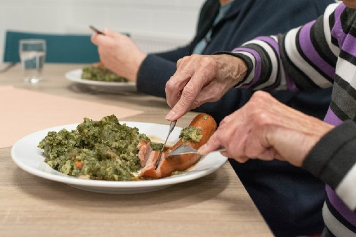 시니어 푸드는 60세 이상의 노년의 건강과 섭식 능력이 고려된 식품이다. [사진 Wikimedia Commons]