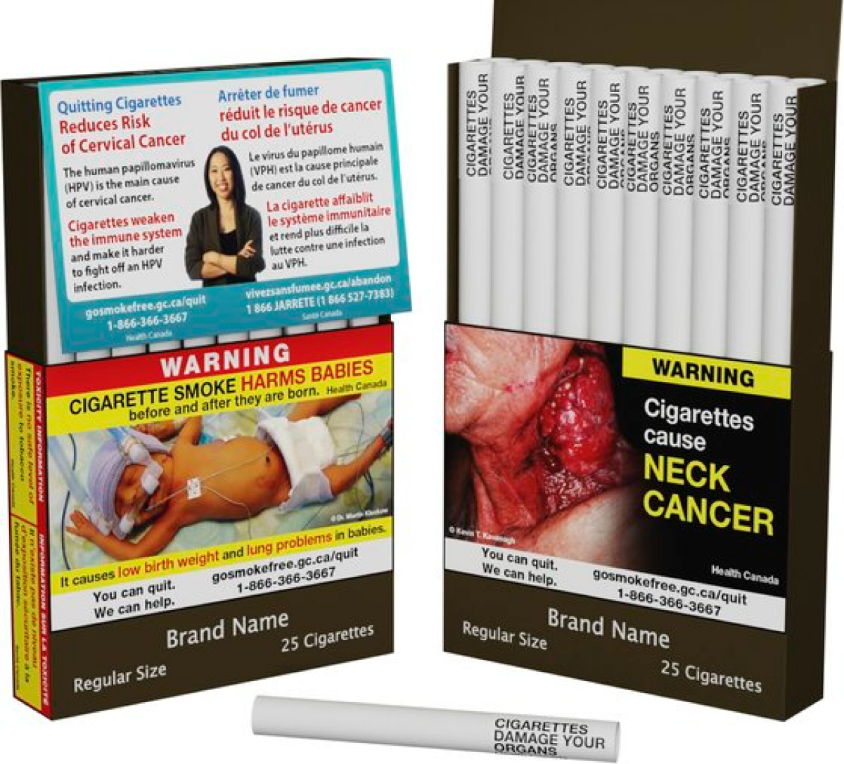 캐나다 보건 당국이 공개한 경고 문구가 들어간 담배 개비들과 경고 그림이 그려진 담뱃갑. AP=연합뉴스
