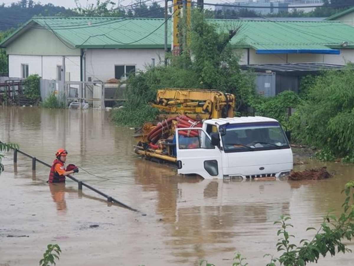 많은 양의 비가 내린 13일 오후 경기 남양주시 수석동에서 물에 잠긴 차 안에 갇혀있던 운전자를 119대원들이 구조하고 있다. [사진 남양주소방서]