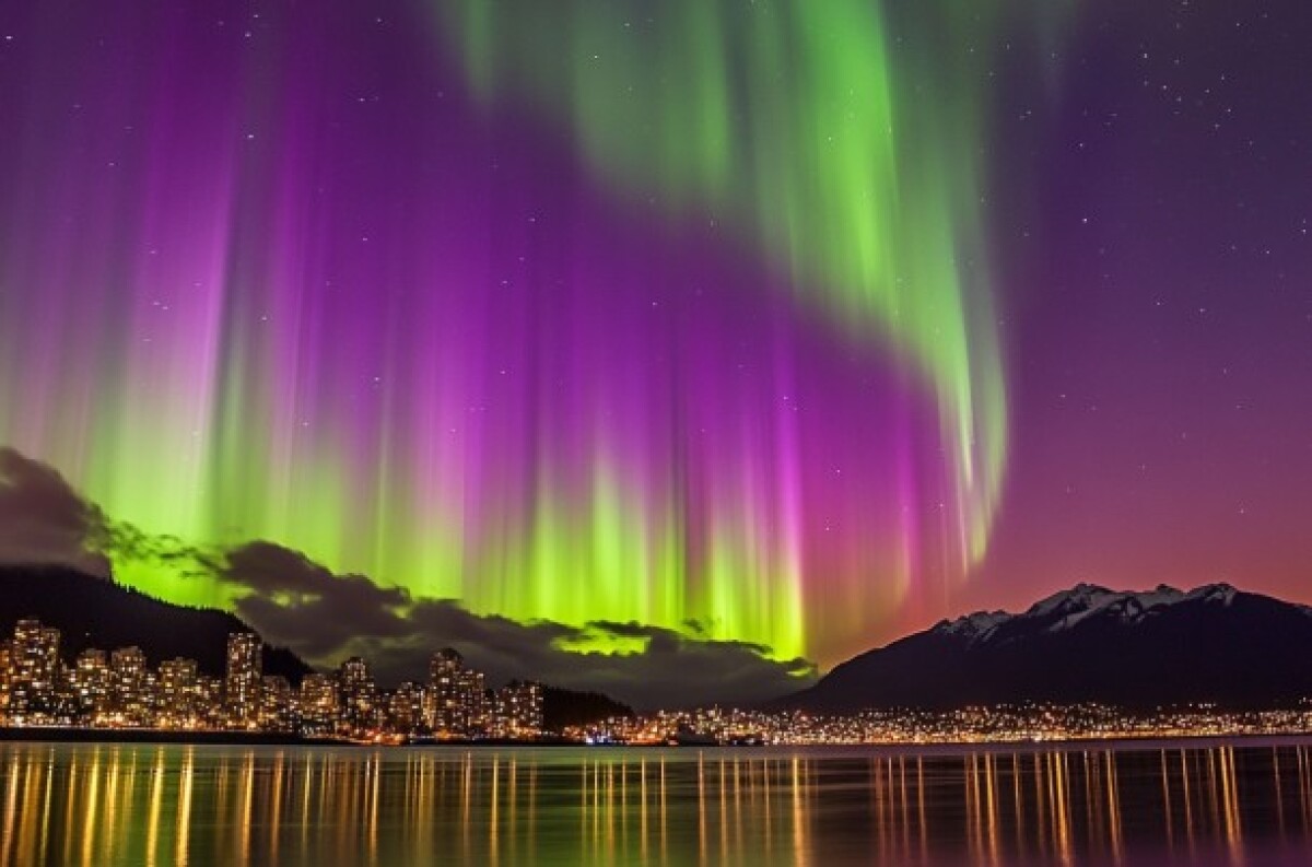 전 세계 14개 최고의 해양 생물 체험, image size:1200x793